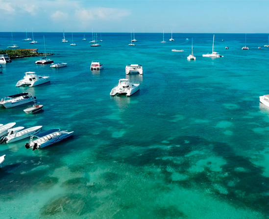 Reservar tour en Isla Saona desde Argentina