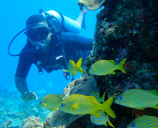 Reserva tu curso de buceo en Punta Cana desde Venezuela.