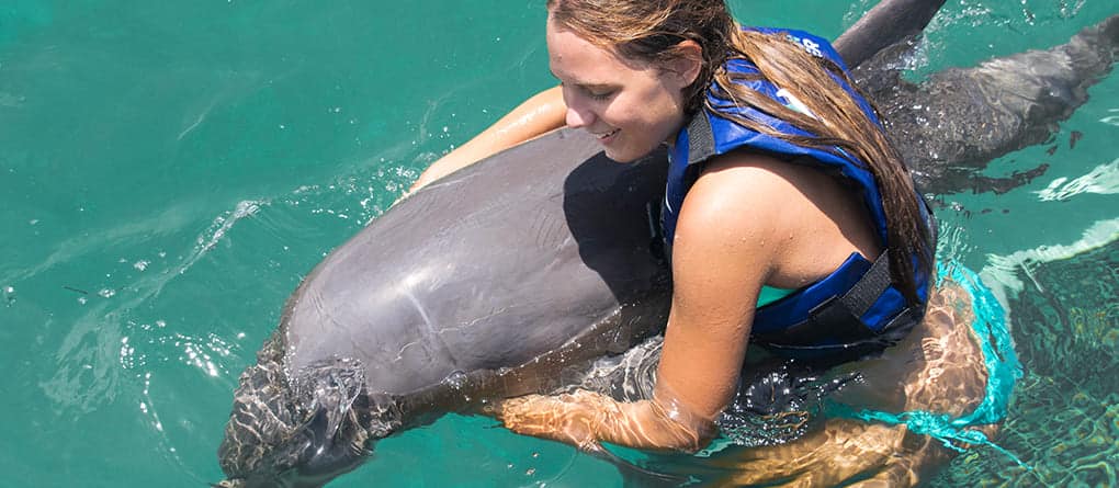 Dolphin Funtastic