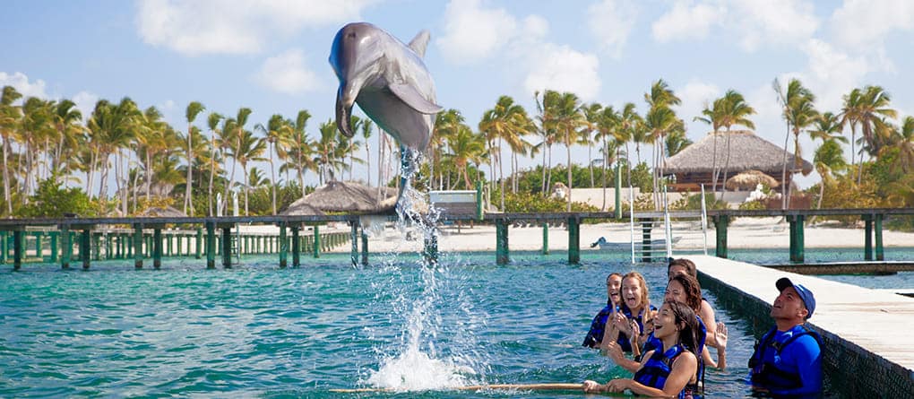 nadar delfines punta cana