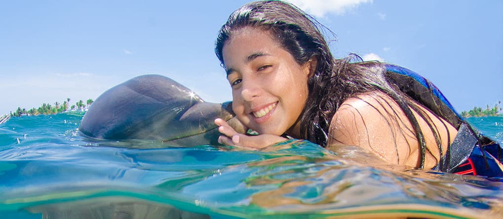 Delfin punta cana