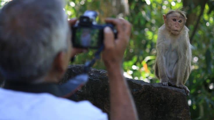 fotografia-en-monkeyland-puerto-plata
