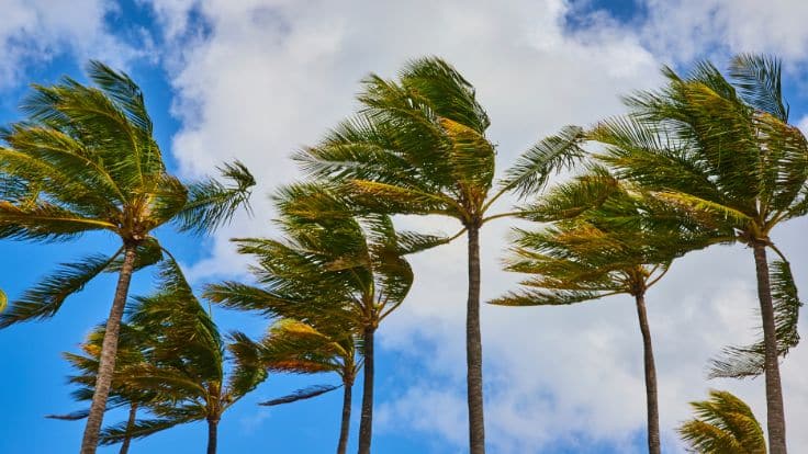 clima-tropical-en-distrito-nacional