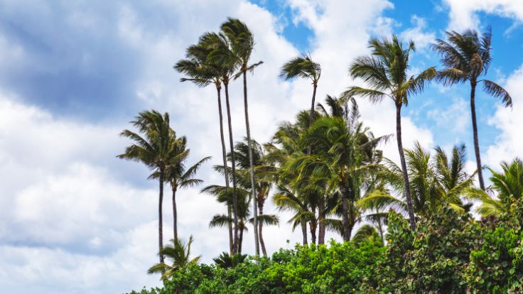 climate-tropical-villa-altagracia