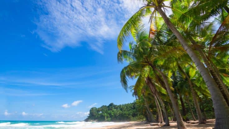 playa-rio-san-juan