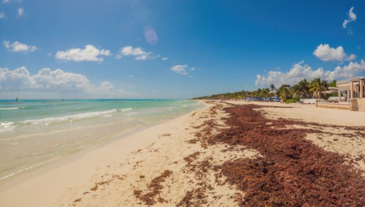 como-llegar-a-la-romana-republica-dominicana